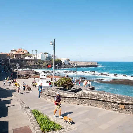 Summa Haus Anatolia 237 Apartman *